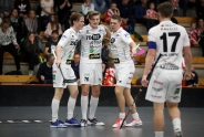 Söldner-Check