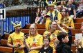 Final Schweden vs. Finnland