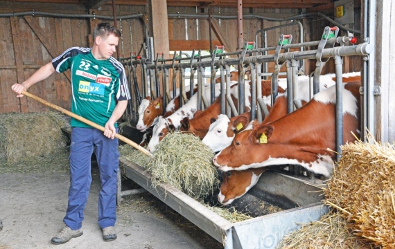 Wie ein Kämpfer Brücken baut