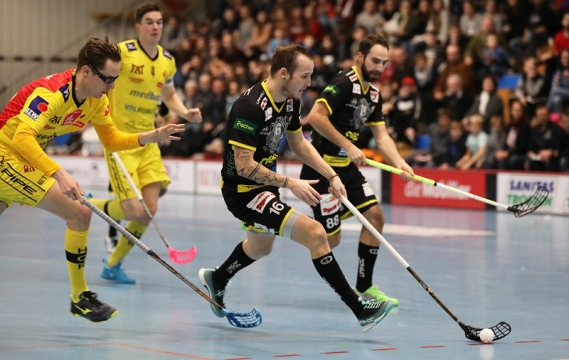 Sieg der Tigers gegen Winterthur