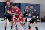 Red Lions lassen wichtige Punkte liegen