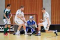 Zuger Abwehr mit Staub,Mück und Mock