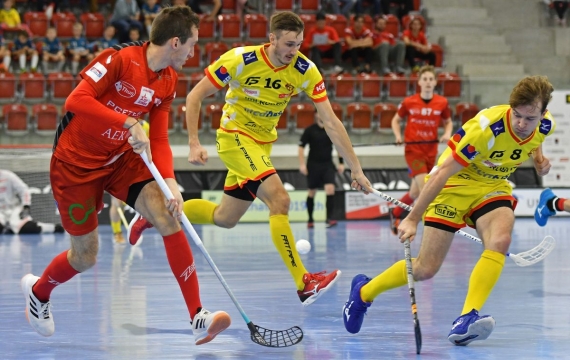 HCR und WaSa in den Playoffs, Tigers hoffen weiter