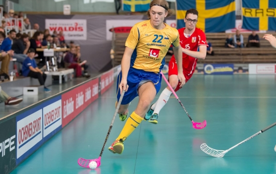 Drei Schweden für Sarnen