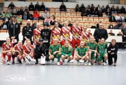 Pixbo und Linköping gewinnen Spitzenspiele