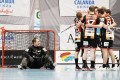 Die Tigers bezwingen Sarnen