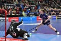 Linn Larssons Penalty