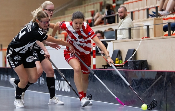 Drei SSL-Teams im Champions Cup weiter