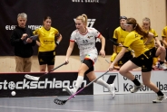 Aufsteiger Bremgarten in den Playoffs