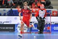 Nicola Hocevar
