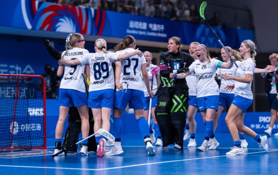 Finninnen und Schweden historisch