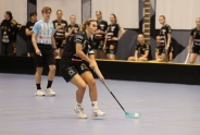 Neuauflagen der Cupfinals am Samstag
