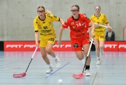 Red Ants starten mit Sieg
