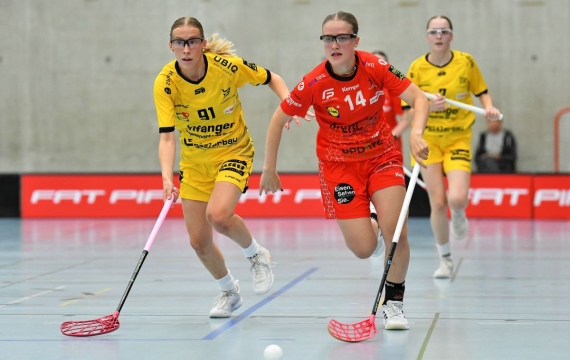 Red Ants starten mit Sieg