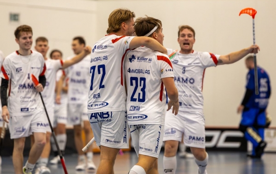 Favoriten lassen Federn - ein Trainerwechsel